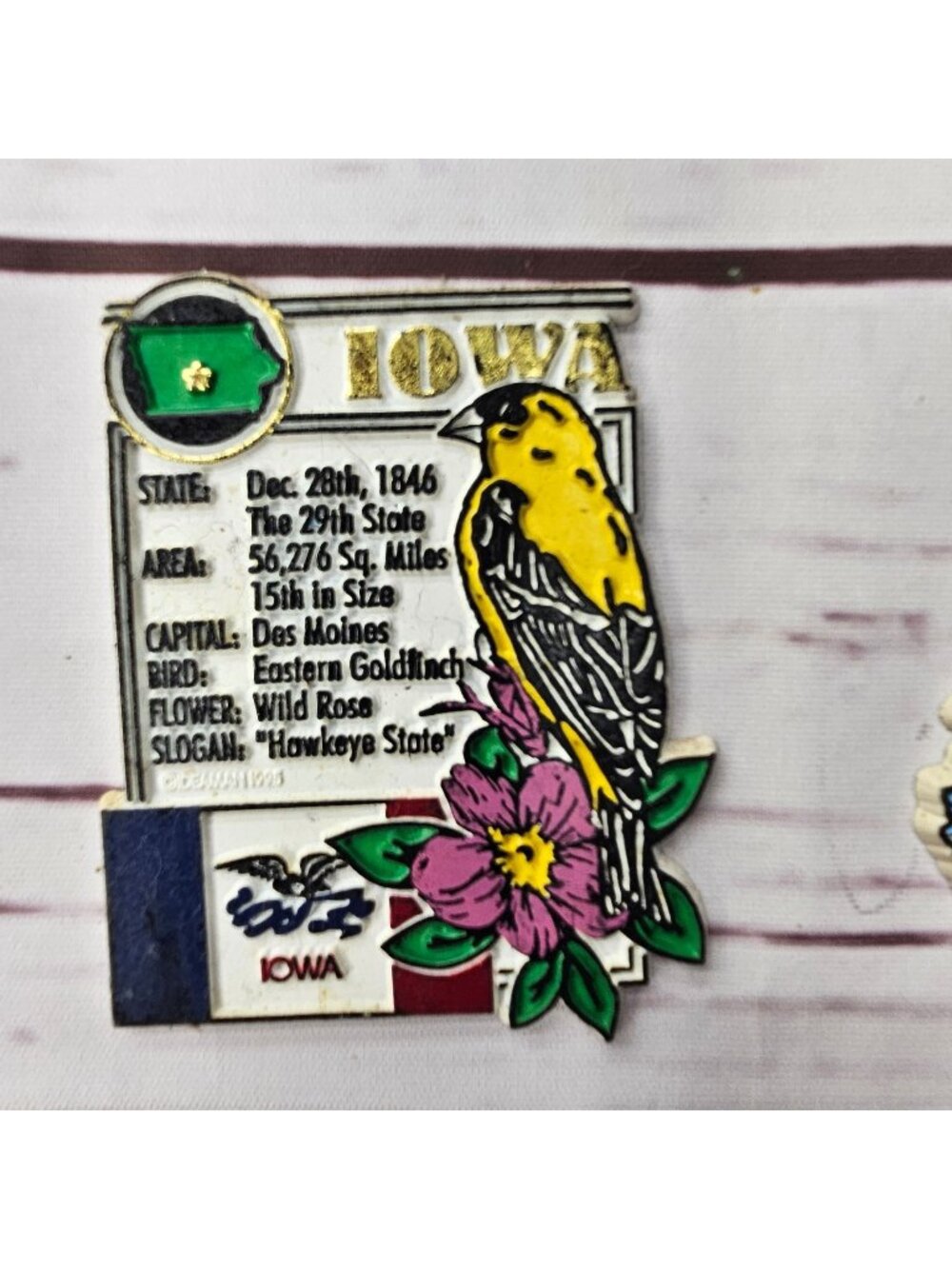 Iowa State Souvenir Magnet With Eastern Goldfinch & Wild Rose Design